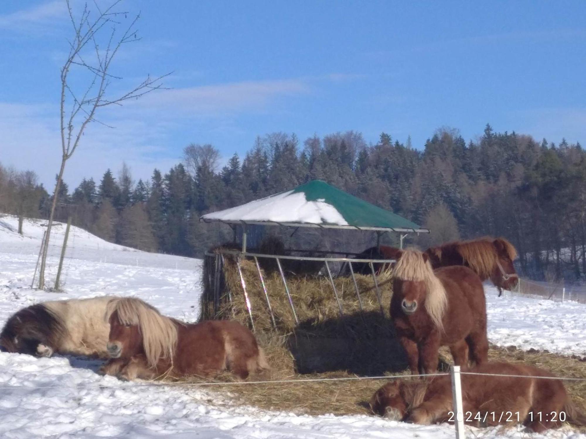Statek Bily Dvur - Bely Otel Machov Dış mekan fotoğraf